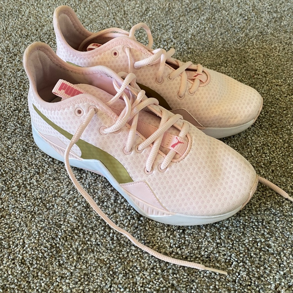 Pink Puma Incites